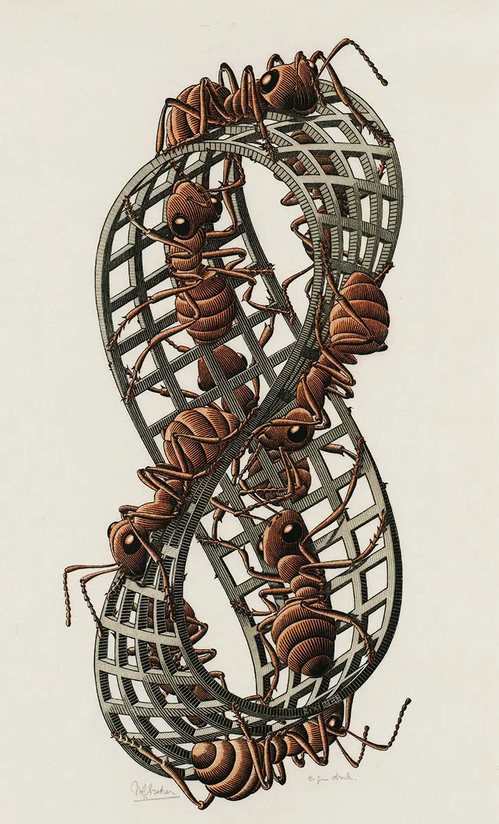 M.C. Escher, Moebius-band met rode mieren (Möbius Strip II, Red Ants), 1963