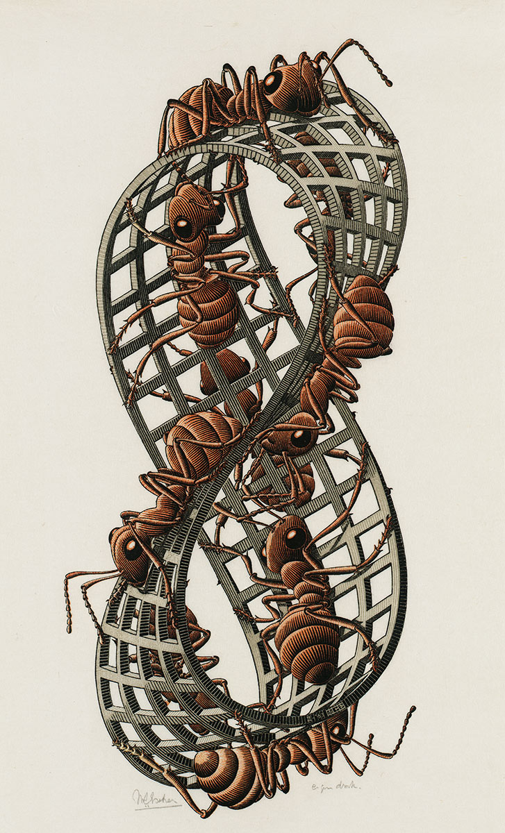 Möbius Strip II by M.C. Escher, red ants walking a one-sided loop