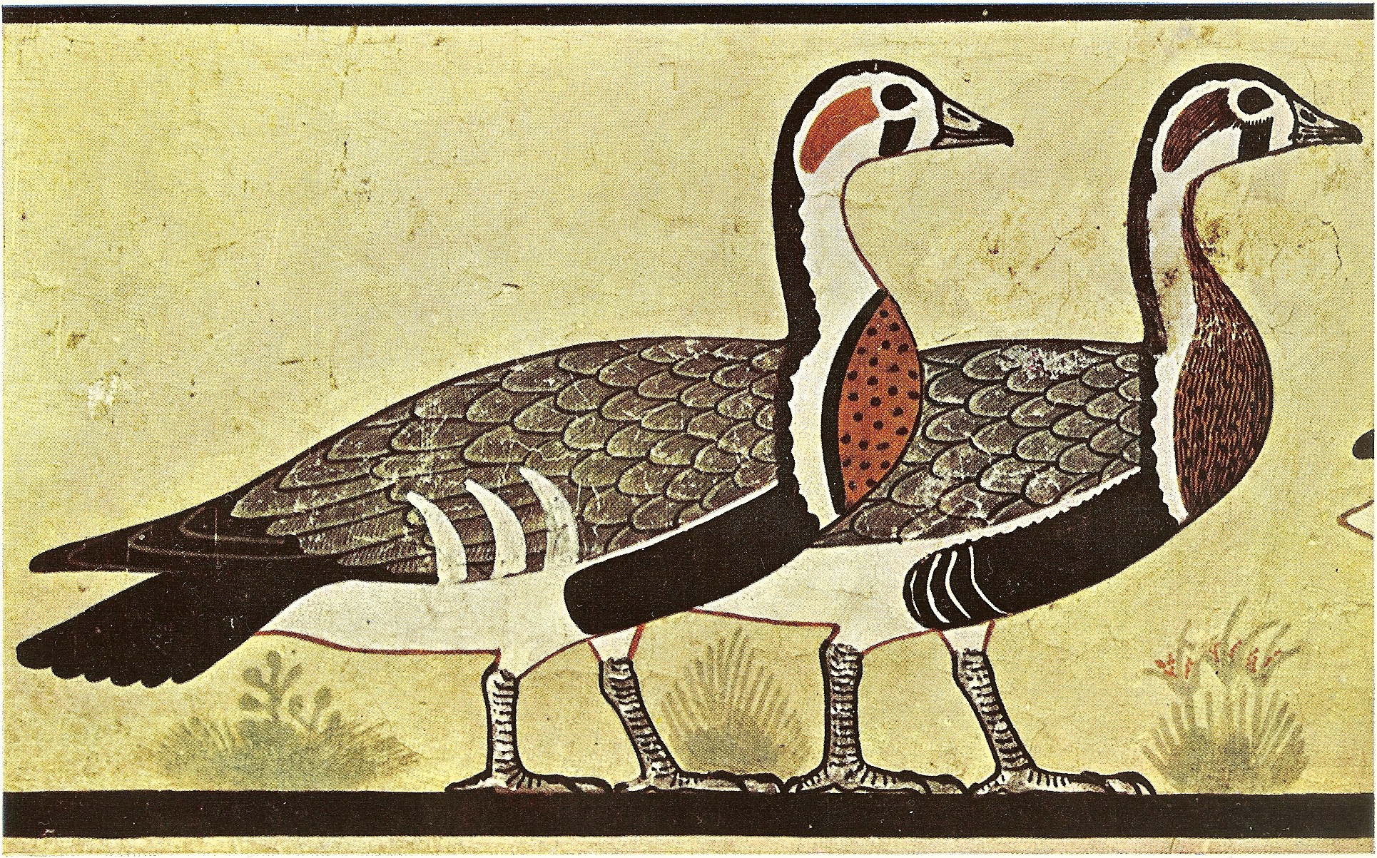Two red-breasted geese from the Geese of Meidum, tomb of Itet, Egypt