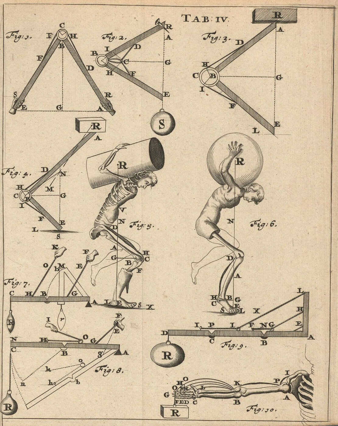 Engraved plate of levers, a man lifting loads and the bones of an arm, from Borelli's De motu animalium